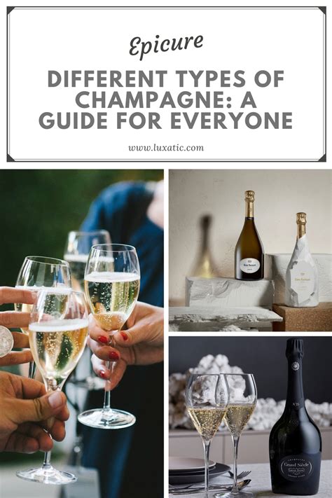 Types of Champagne A Guide for Every Connoisseur